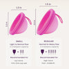 Ecoblossom Reusable Menstrual Disc